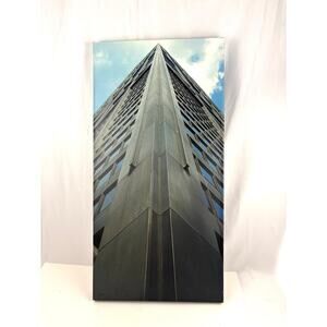 High Rise Tower Chicago Skyscraper Building Print Canvas Art Wall Decor 16"x32"